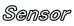 Sensor